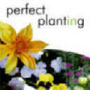 Perfect planting, your guide to planting and potting the greener way